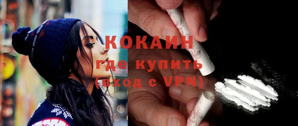 дмт Абаза