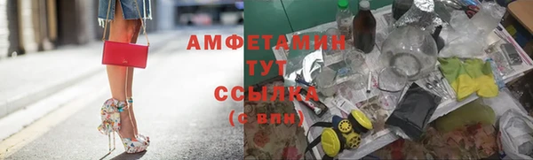 дмт Абаза