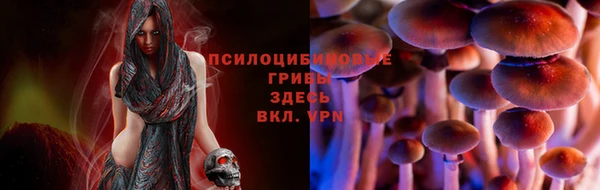 дживик Пестово