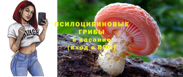 ешки Пересвет