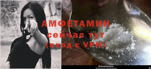 дмт Абаза